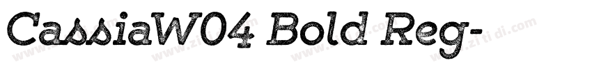 CassiaW04 Bold Reg字体转换
